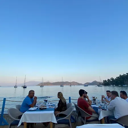 别墅 Private Pool At Dalyan Ortaca (Mugla)